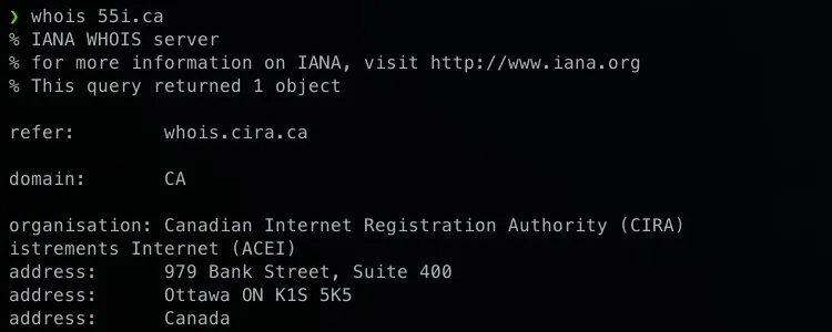 Terminal window showing a Whois lookup for a website domain, displaying registration and network information.