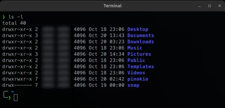Screenshot of a fully configured xfce4-terminal with the Powerlevel10k theme applied, showcasing a customized terminal with a sleek prompt and system stats.